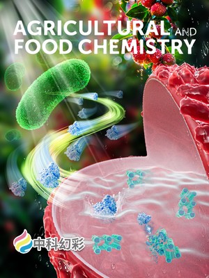 2024-12-16 16：18：00