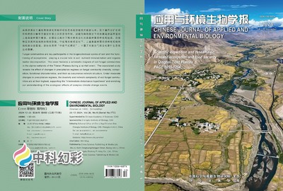 2024-12-11 16：40：00