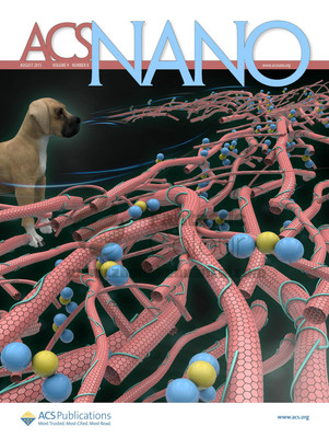 ACS NANO-北京航空航天大学