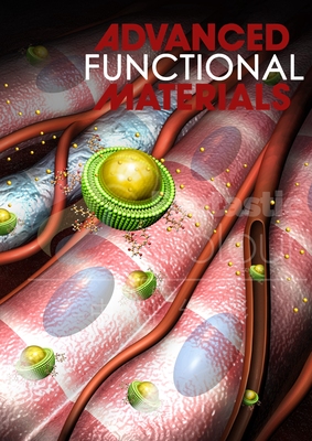 Adv.Funct.Mater.-郑州大学
