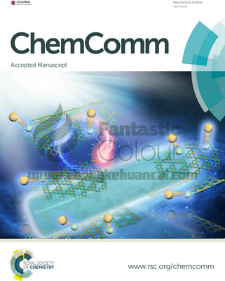 RSC-华中科技大学