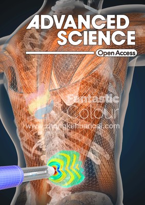 Adv.Science-北京积水潭医院