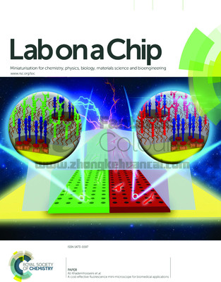 RSC-国家纳米科学中心