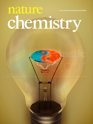 Nat.Chem.