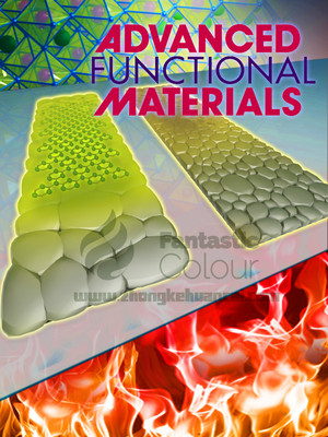 Adv.Funct.Mater.-苏州大学