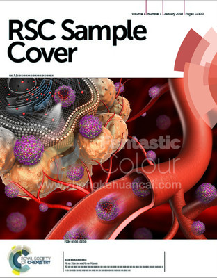 RSC-北京林业大学