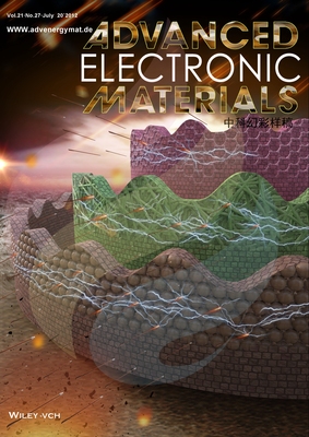 Adv.Electron.Mater.