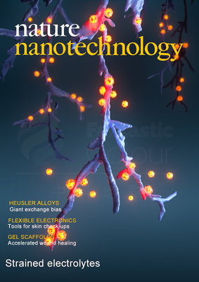 Nat. Nanotechnol.