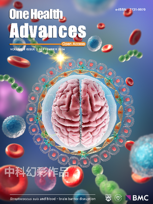 2024-11-01 10：00：00