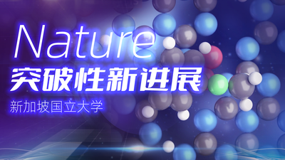 Nature成果-双子原子催化交叉偶联-新加坡国立大学