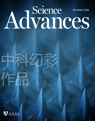 浙江大学
