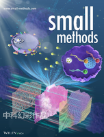 2024-10-08 10：04：00