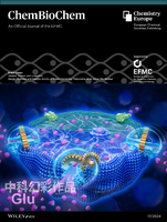 2024-09-07 ：16：31：00