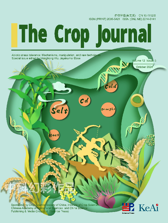 2024-09-20 18：00：00