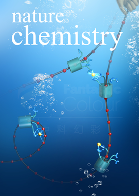 Nat. Chem.